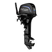 PARSUN T9.9BMS PRO small